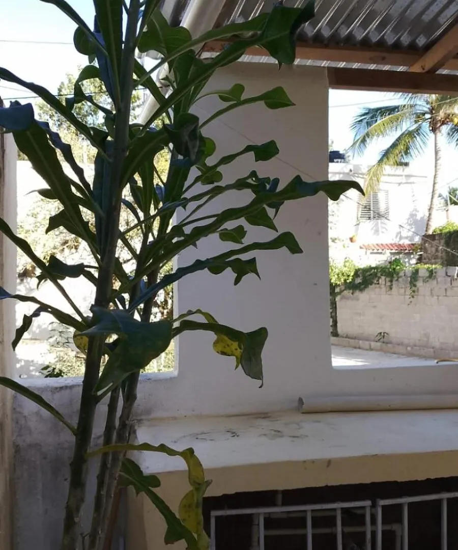 Guest House A&H Boca Chica 0*,